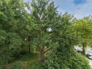 Acheter Appartement Nantes 79000 euros
