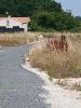 For sale Land Saint-palais-sur-mer  17420 351 m2