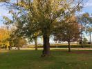 Louer Appartement Cussac-fort-medoc Gironde