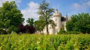 For rent Apartment Pessac  33600 73 m2