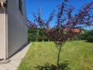 Annonce Vente 6 pièces Maison Tremblay-en-france