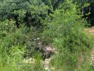 Acheter Terrain Thenon Dordogne
