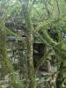Acheter Terrain Thenon 45000 euros