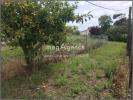 Acheter Terrain 8835 m2 Olonne-sur-mer