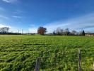 Annonce Vente Terrain