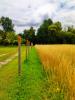 Annonce Vente Terrain