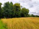 Acheter Terrain
