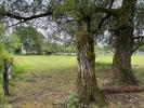 Annonce Vente 4 pièces Maison