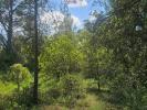 Vente Terrain Laval-pradel 30