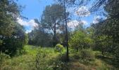 Annonce Vente Terrain Laval-pradel