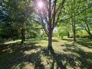 Acheter Terrain Montsuzain 69000 euros