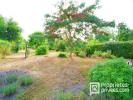 Annonce Vente 5 pièces Maison Vignoux-sur-barangeon