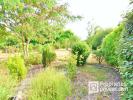 Acheter Maison 132 m2 Vignoux-sur-barangeon