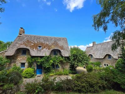 photo For sale Prestigious house LOCOAL-MENDON 56