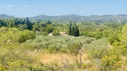 Vente Maison PARADOU  13