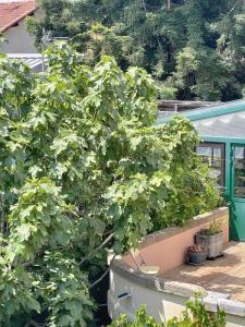 Vente Maison AVIGNON 