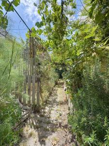 For sale House AVIGNON