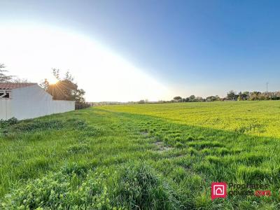 For sale Land LAGORD  17