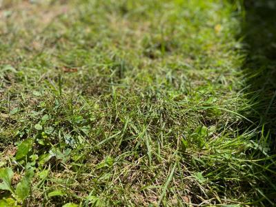 Vente Terrain NOGENT-SUR-VERNISSON 45290