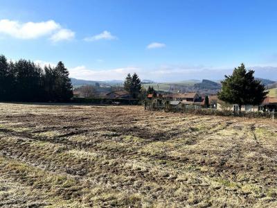 Vente Terrain VIOLAY 42780