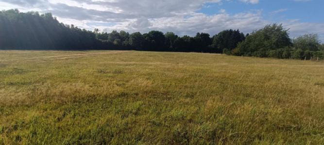 photo For sale Land LUXEUIL-LES-BAINS 70