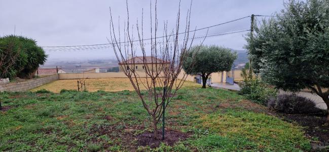 photo For sale Land PERET 34