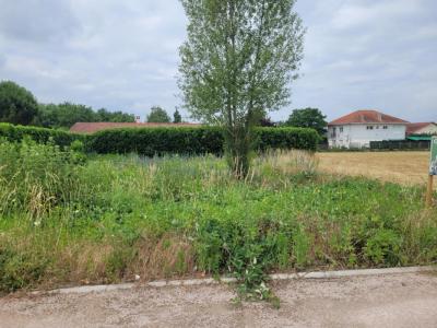 Vente Maison LEZOUX 63190