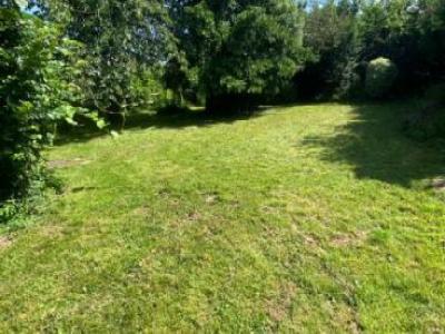 Vente Maison SAINT-MICHEL-SUR-ORGE 