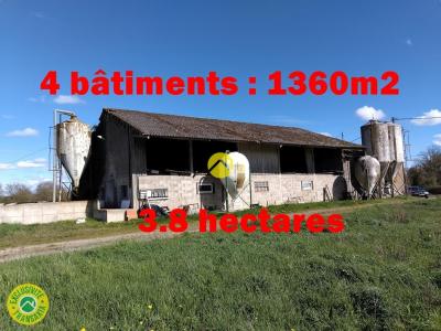 Vente Local commercial LURCY-LEVIS 03320