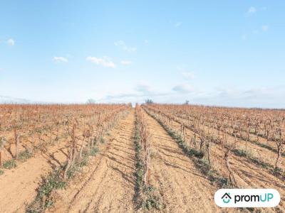 Vente Terrain BELARGA 34230