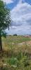 Annonce Vente 5 pices Maison Thierville-sur-meuse