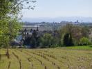 Louer Appartement 44 m2 Niederhausbergen