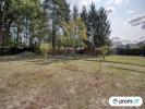 Annonce Vente Terrain Clere-les-pins