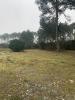 Acheter Terrain Teste-de-buch Gironde