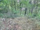 Annonce Vente Terrain Labegude