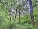 Acheter Terrain 978 m2 Labegude