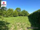Annonce Vente Terrain Saint-fort-sur-gironde