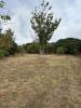 Annonce Vente Terrain Saint-caprais-de-bordeaux