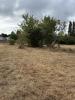 Acheter Terrain Saint-caprais-de-bordeaux 159800 euros