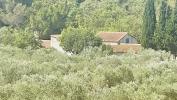 Annonce Vente 7 pièces Maison Paradou