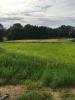 Land VOUZY 