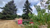 For sale Land Saint-andre-d'apchon  42370 1100 m2
