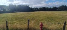 Land LUXEUIL-LES-BAINS 