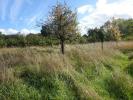 Annonce Vente Terrain Lureuil