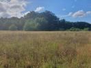 Vente Terrain Castelnau-de-medoc 33