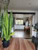 Acheter Maison 120 m2 Conflandey