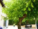House PESSAC 