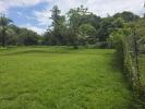 Annonce Vente Terrain Matoury