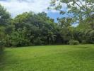Acheter Terrain Matoury Guyane