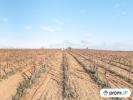 Vente Terrain Belarga 34